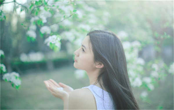 陈场镇验血查男女几周可以验(验血查男女结果图)